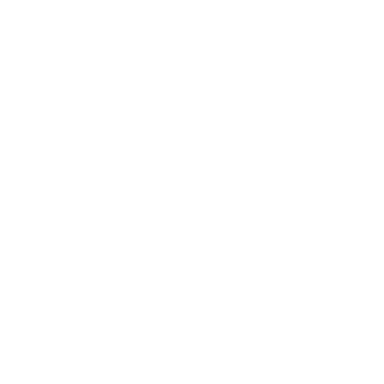 SkyMentor