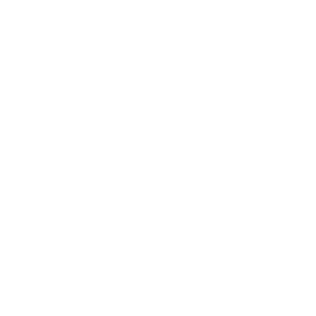SkyMentor