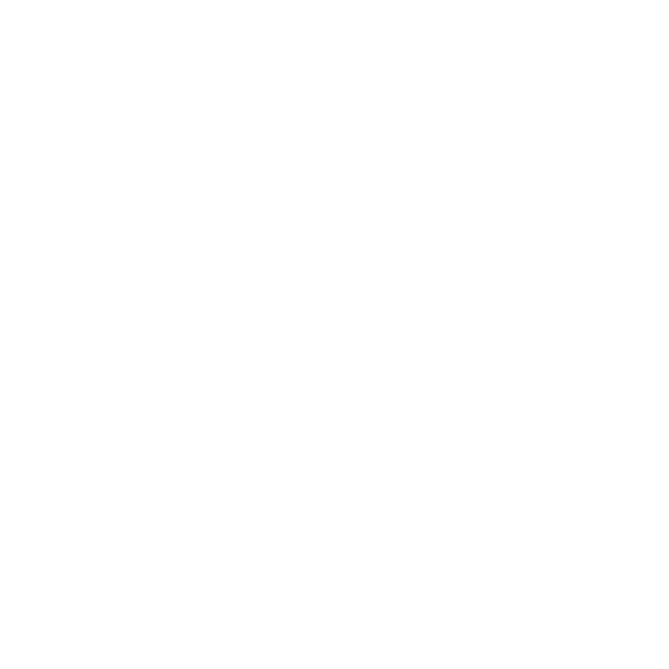 SkyMentor
